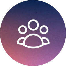 new-connections_icon